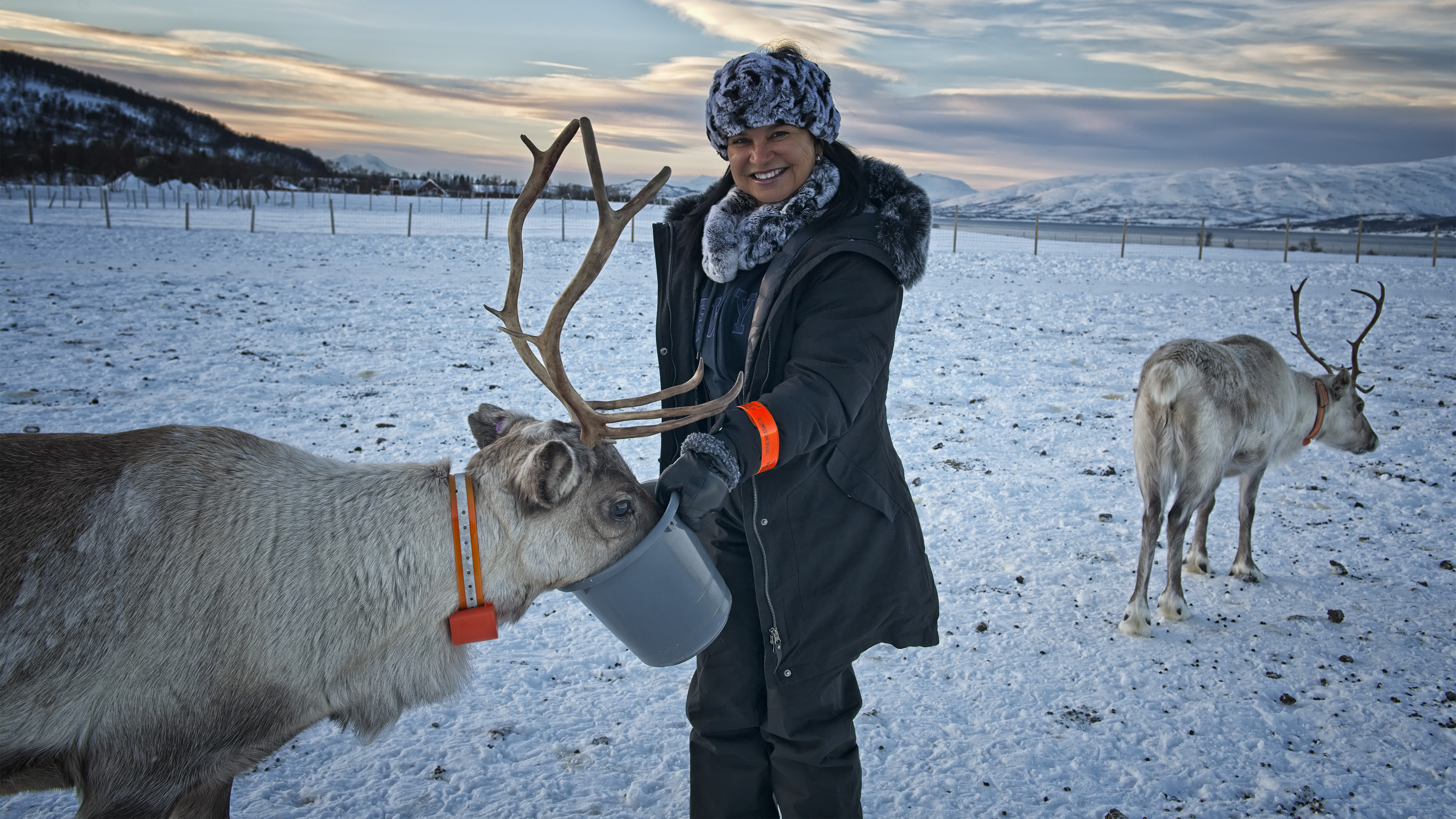 Giving Treats to the Reindeer