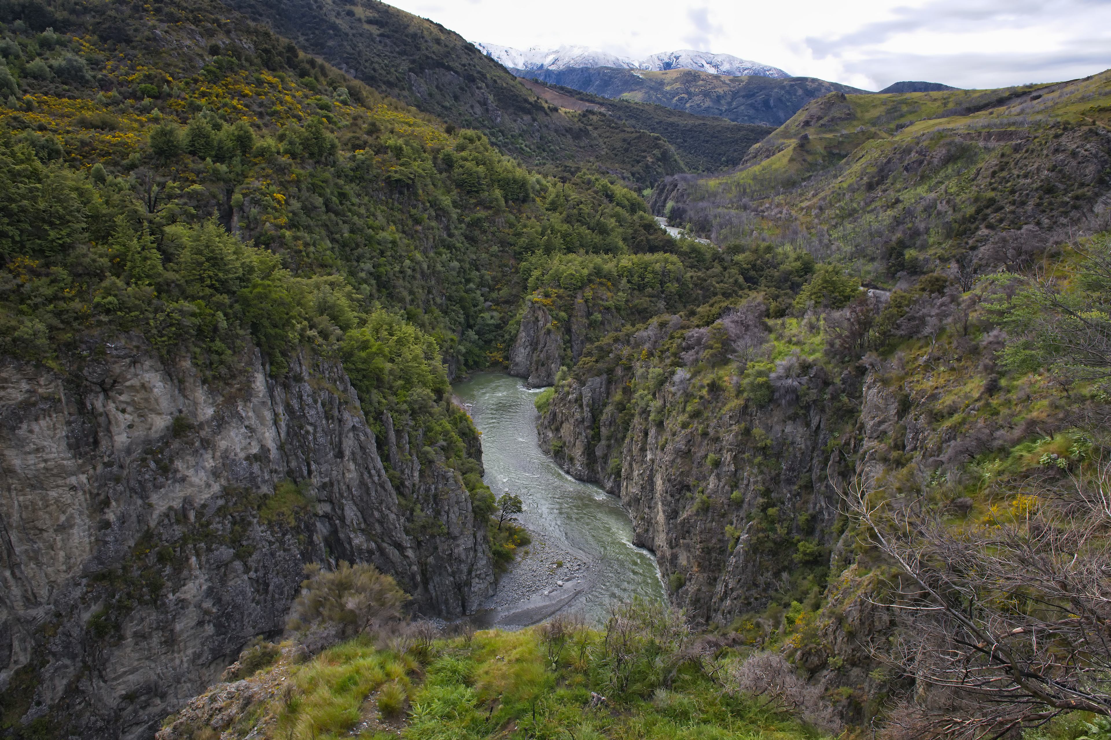 TranzAlpine train journey