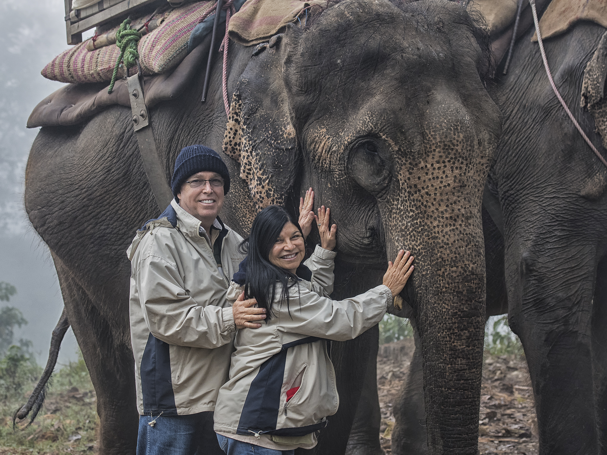 Gentle Giants