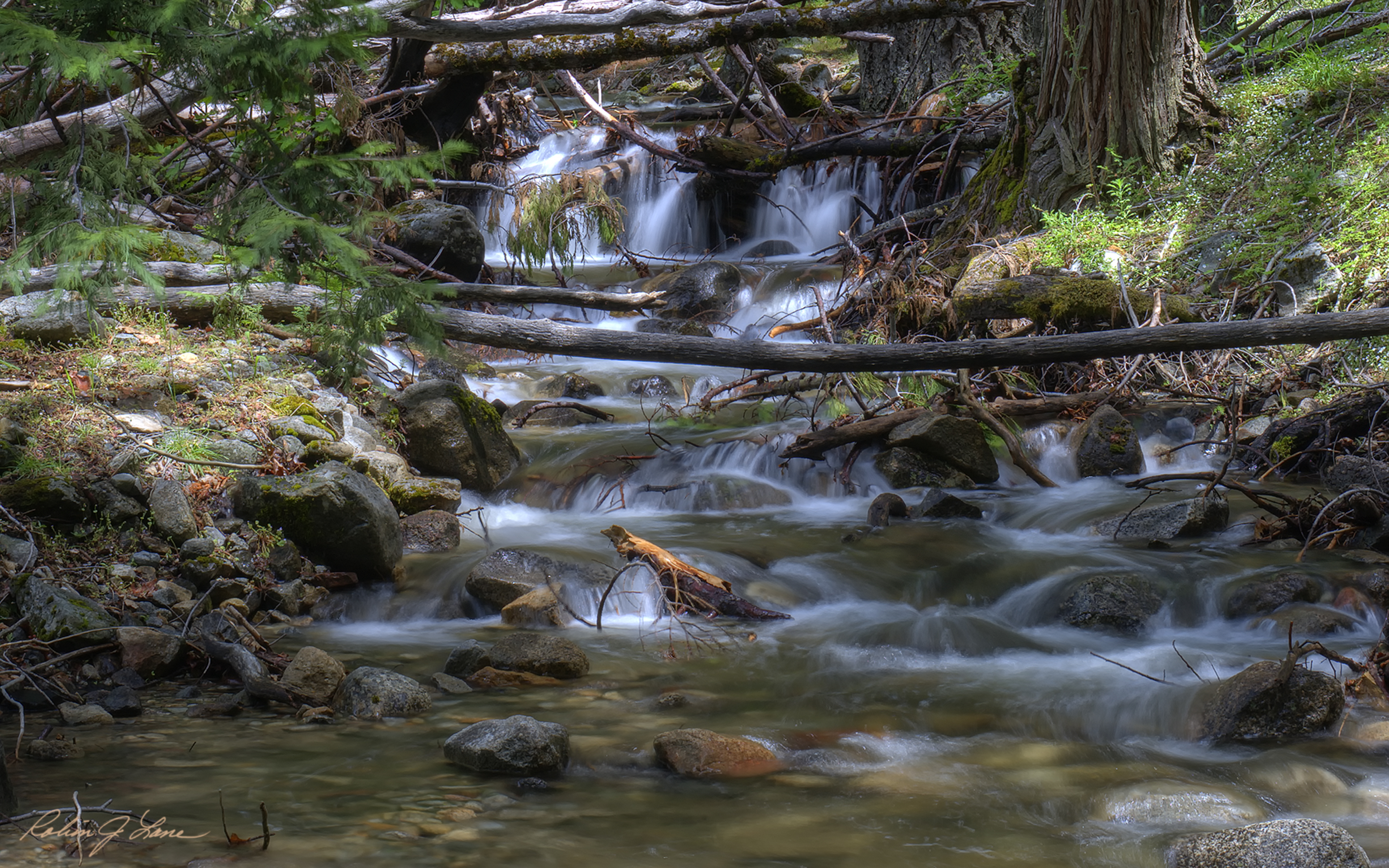 Yosemite stream