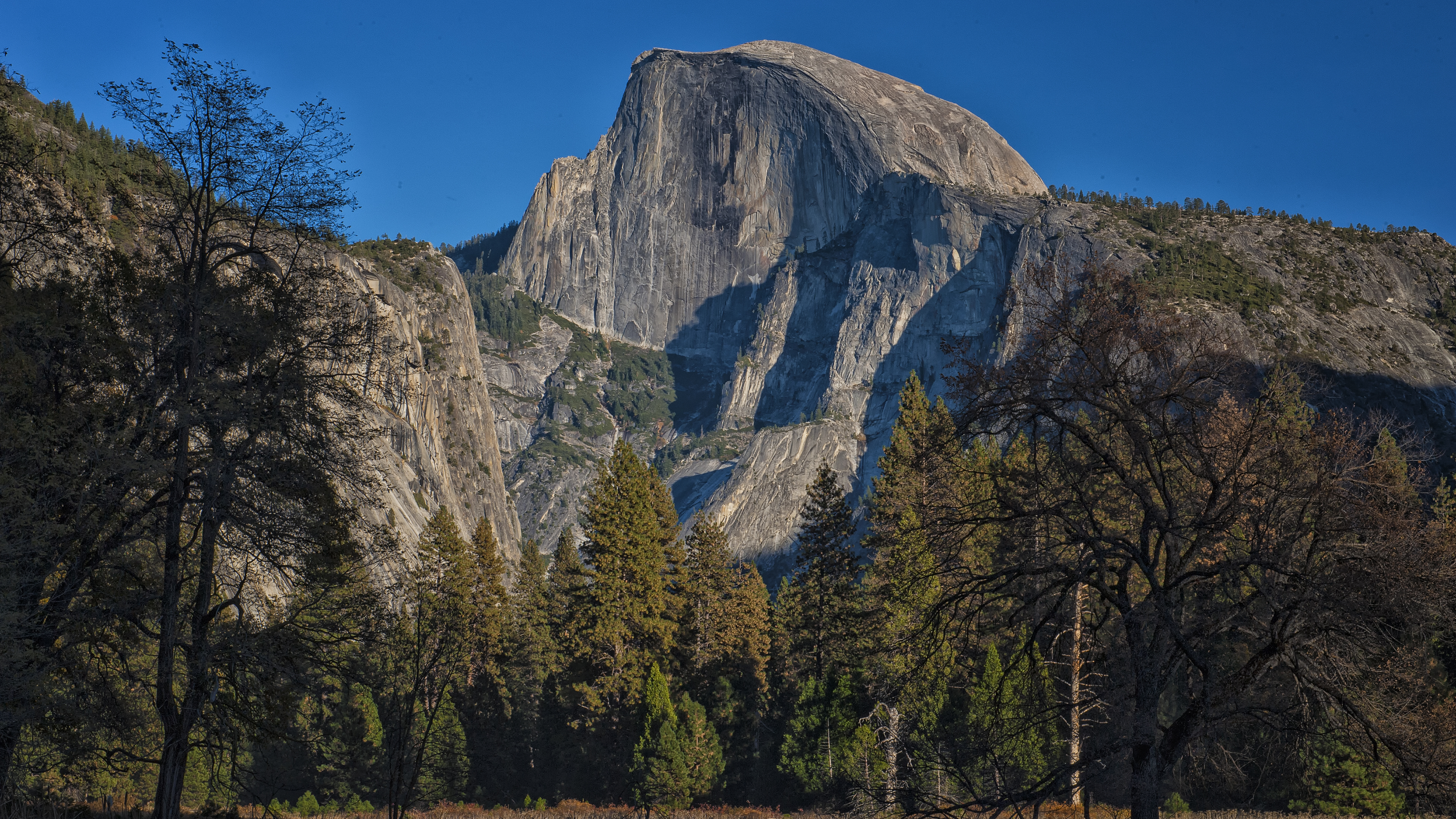 Half Dome