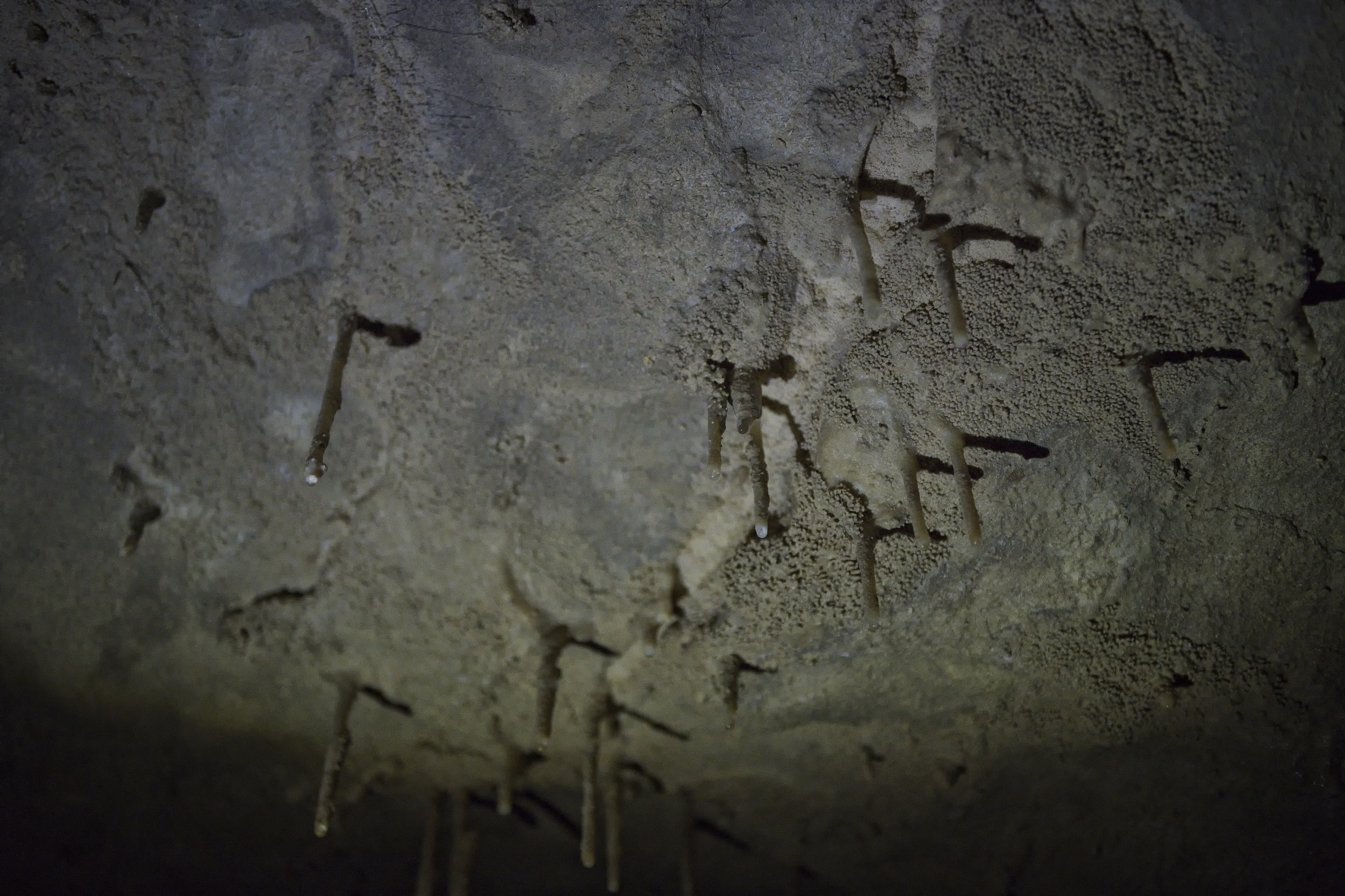 Glowworms on the Ceiling