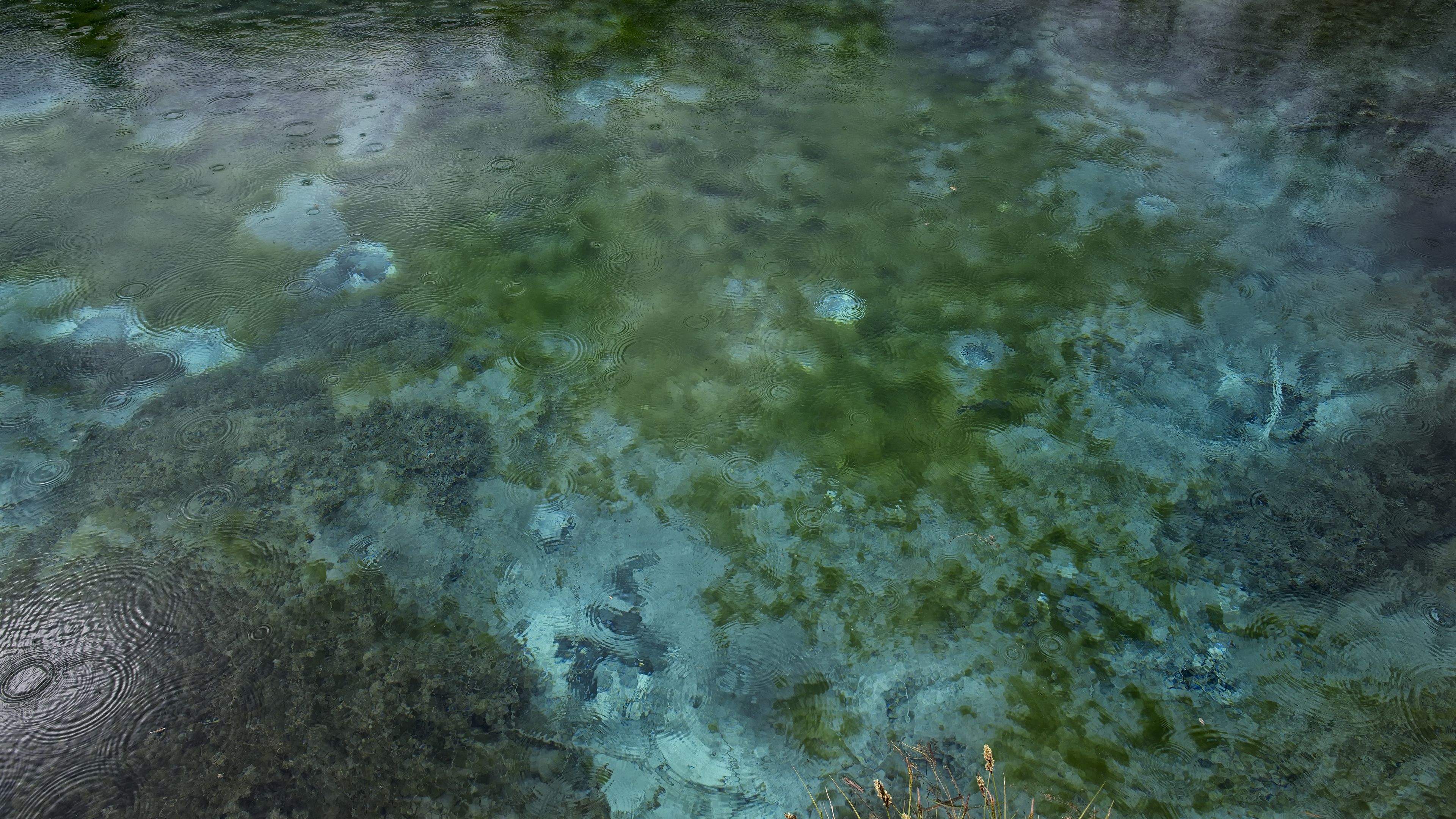 Spring of Sava Dolinka River
