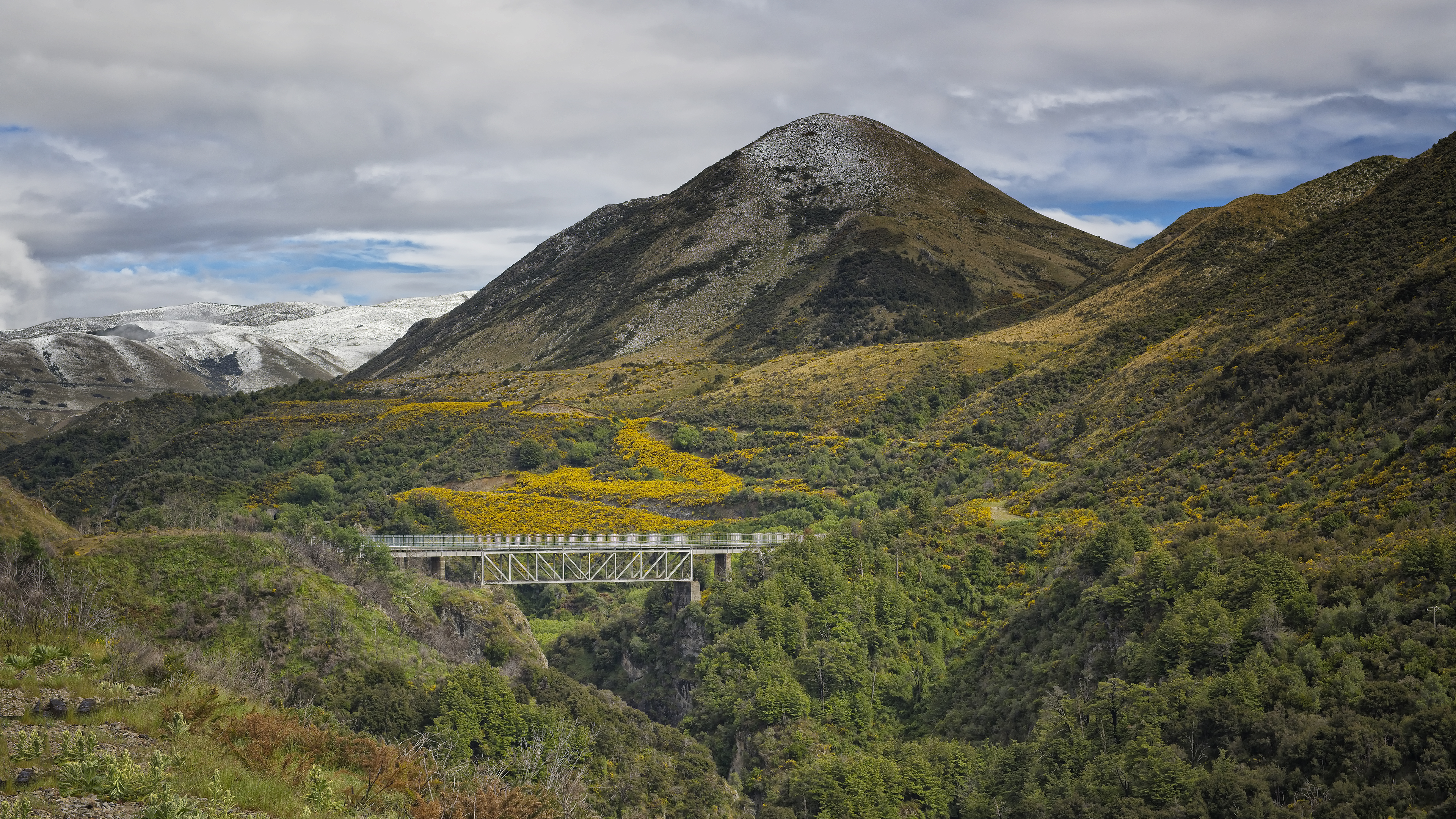 Bridge on TranzAlpine train journey