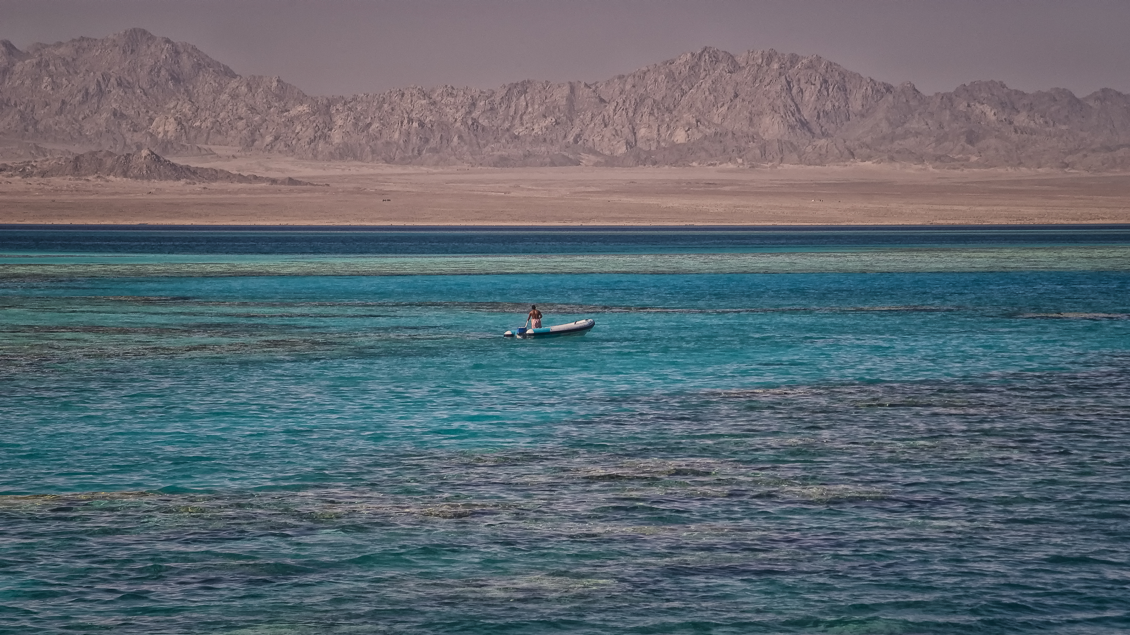 Red Sea Life