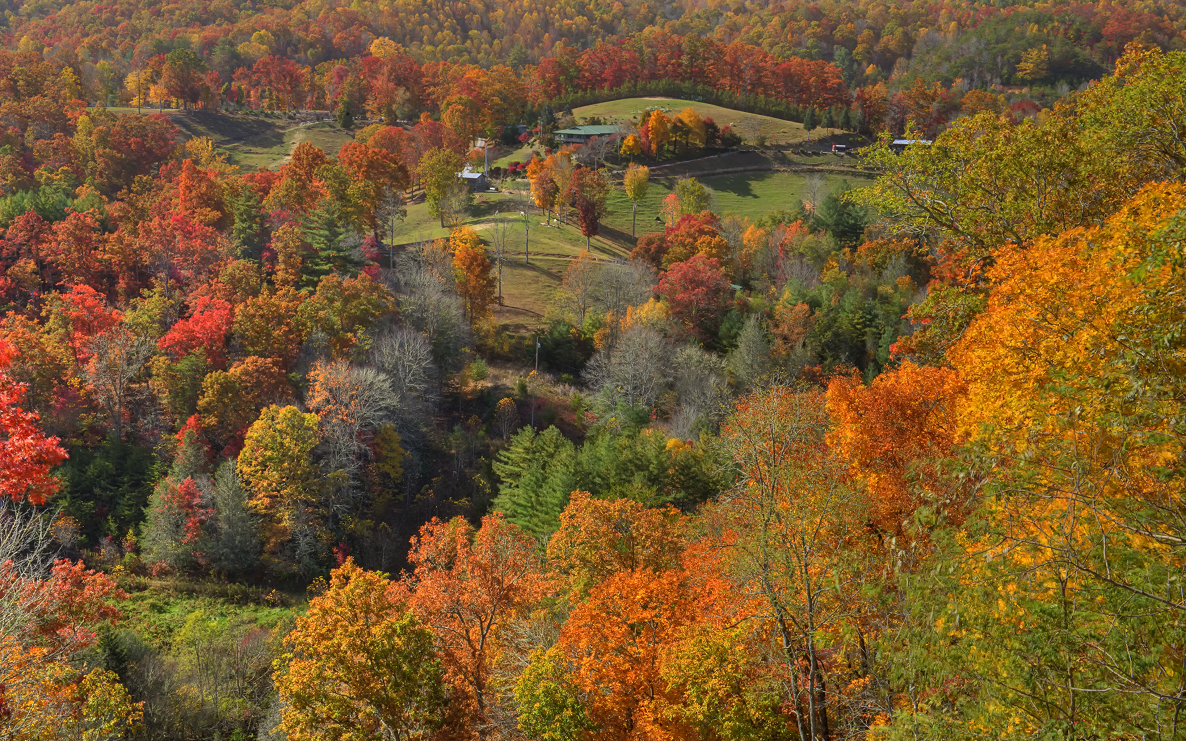 Fall Colors