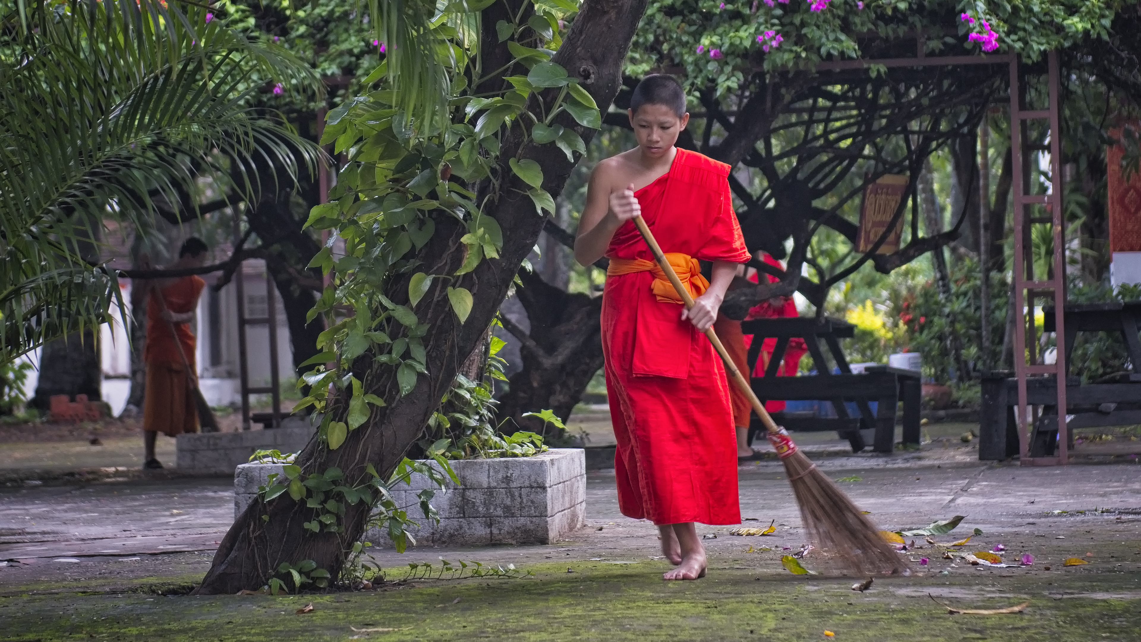 Morning Duties in the Temple