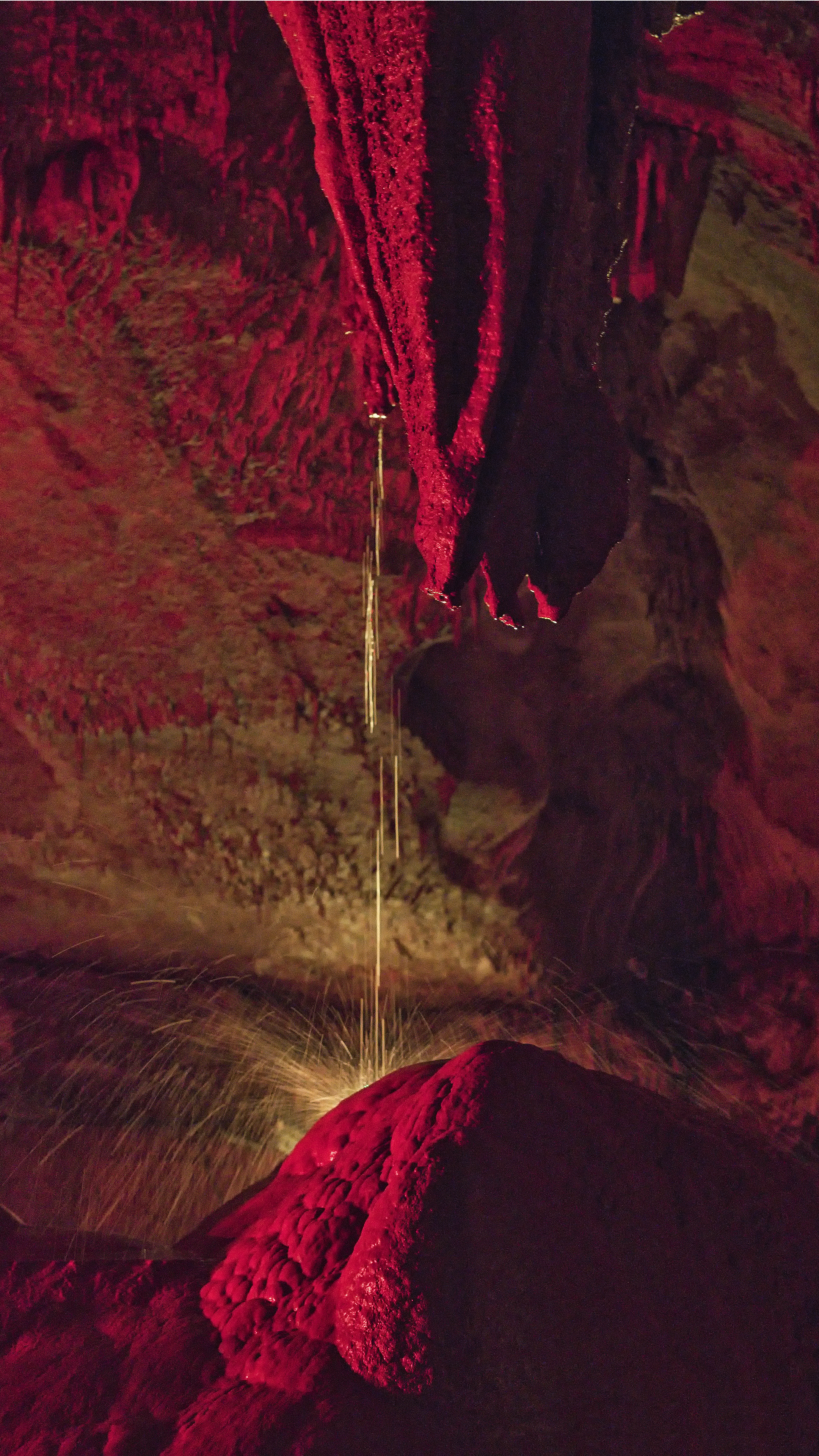 Sataplia Cave