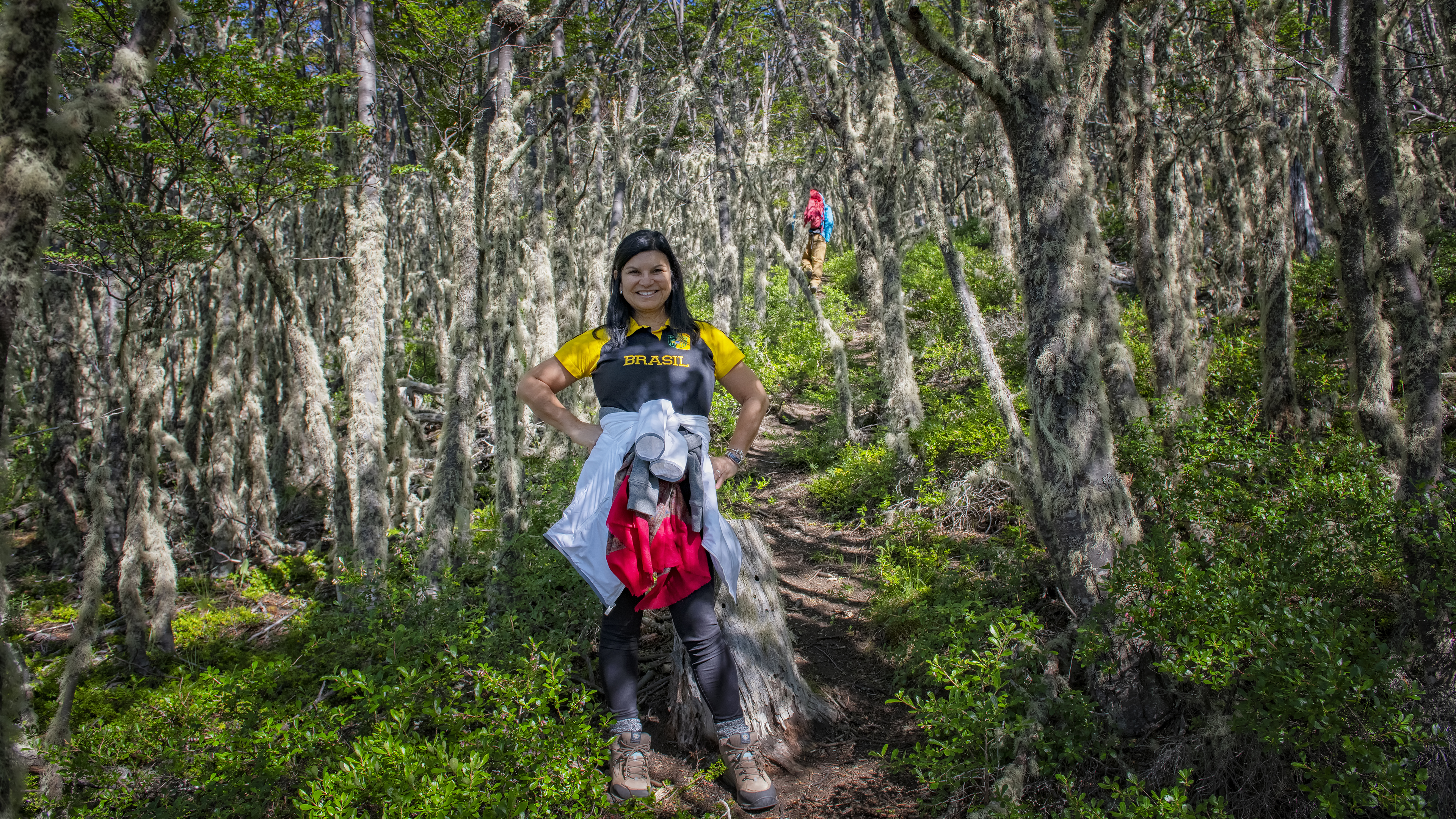 Into the Forest of Lichens