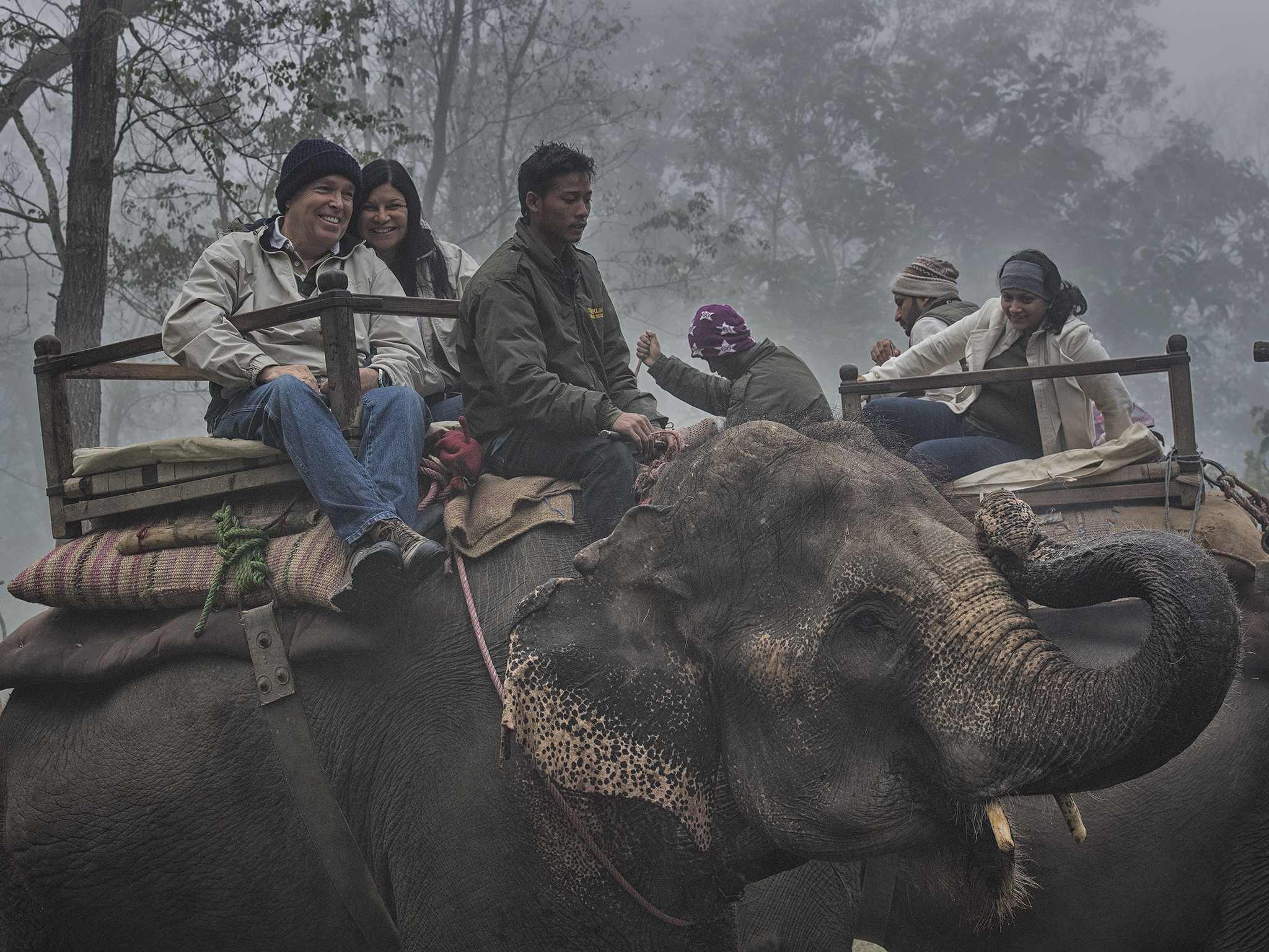 Elephant Safari
