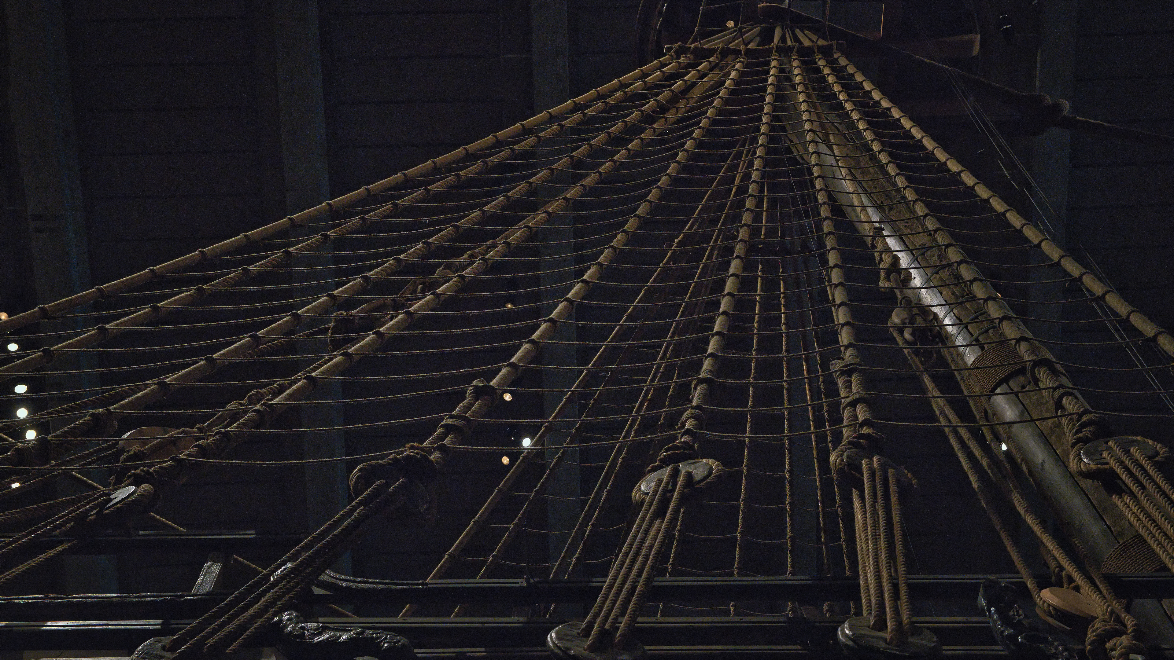 The Vasa