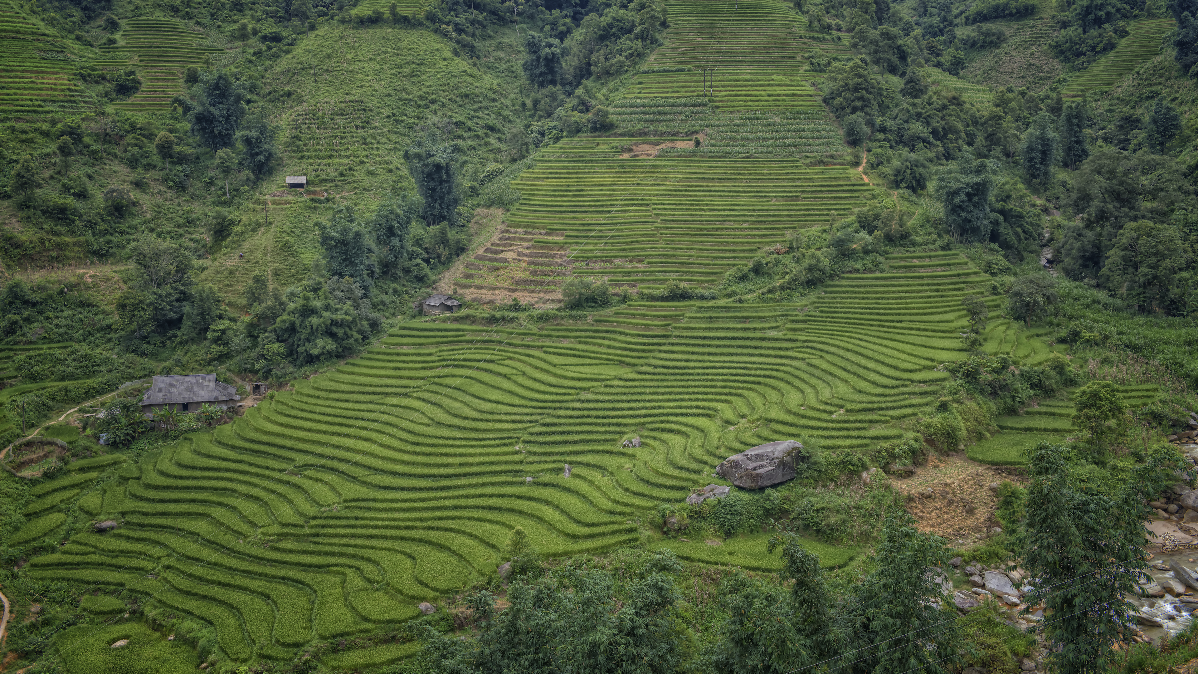 Beautiful Rice Terraces in Lao Cai