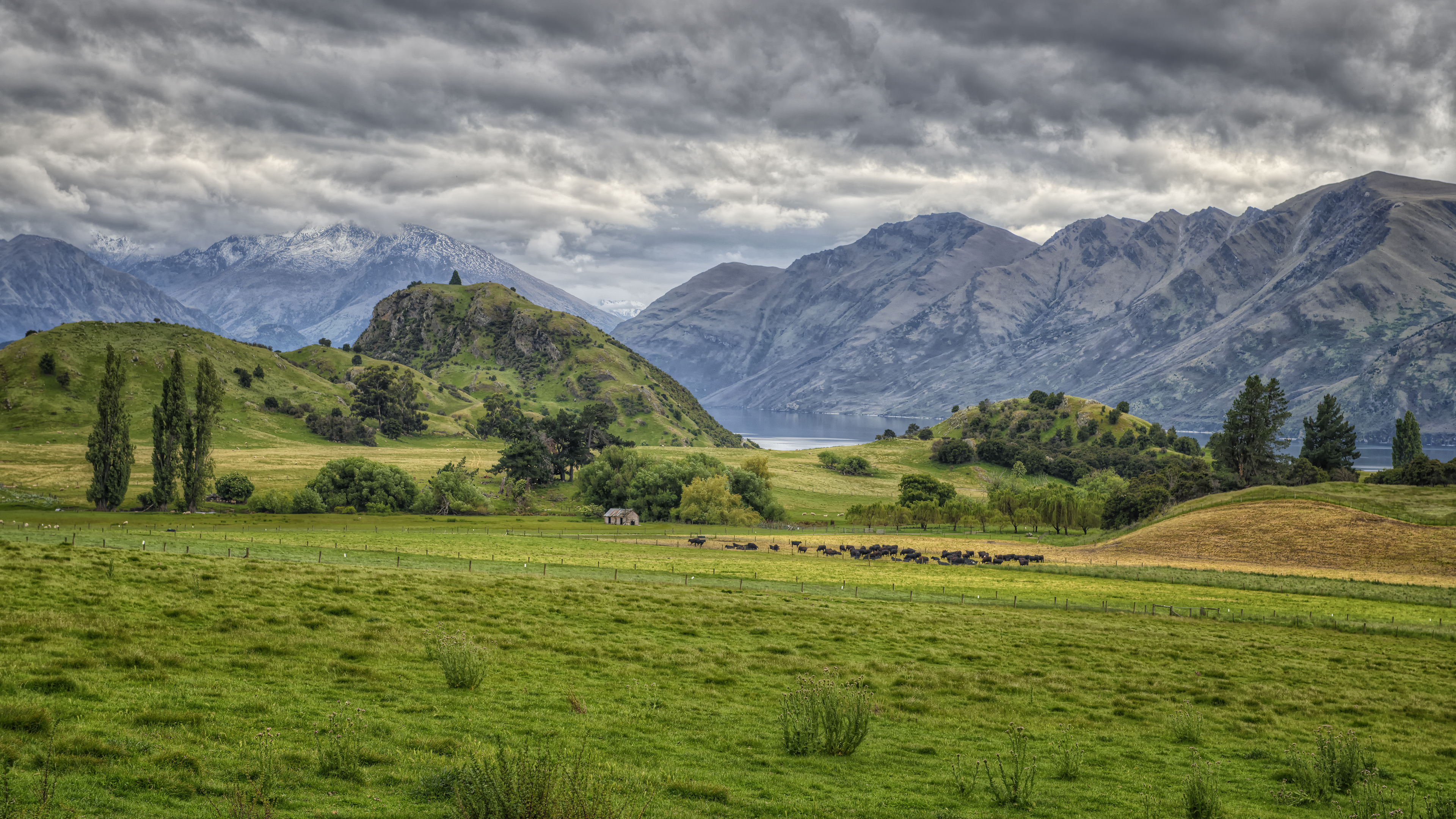Lake Wanaka
