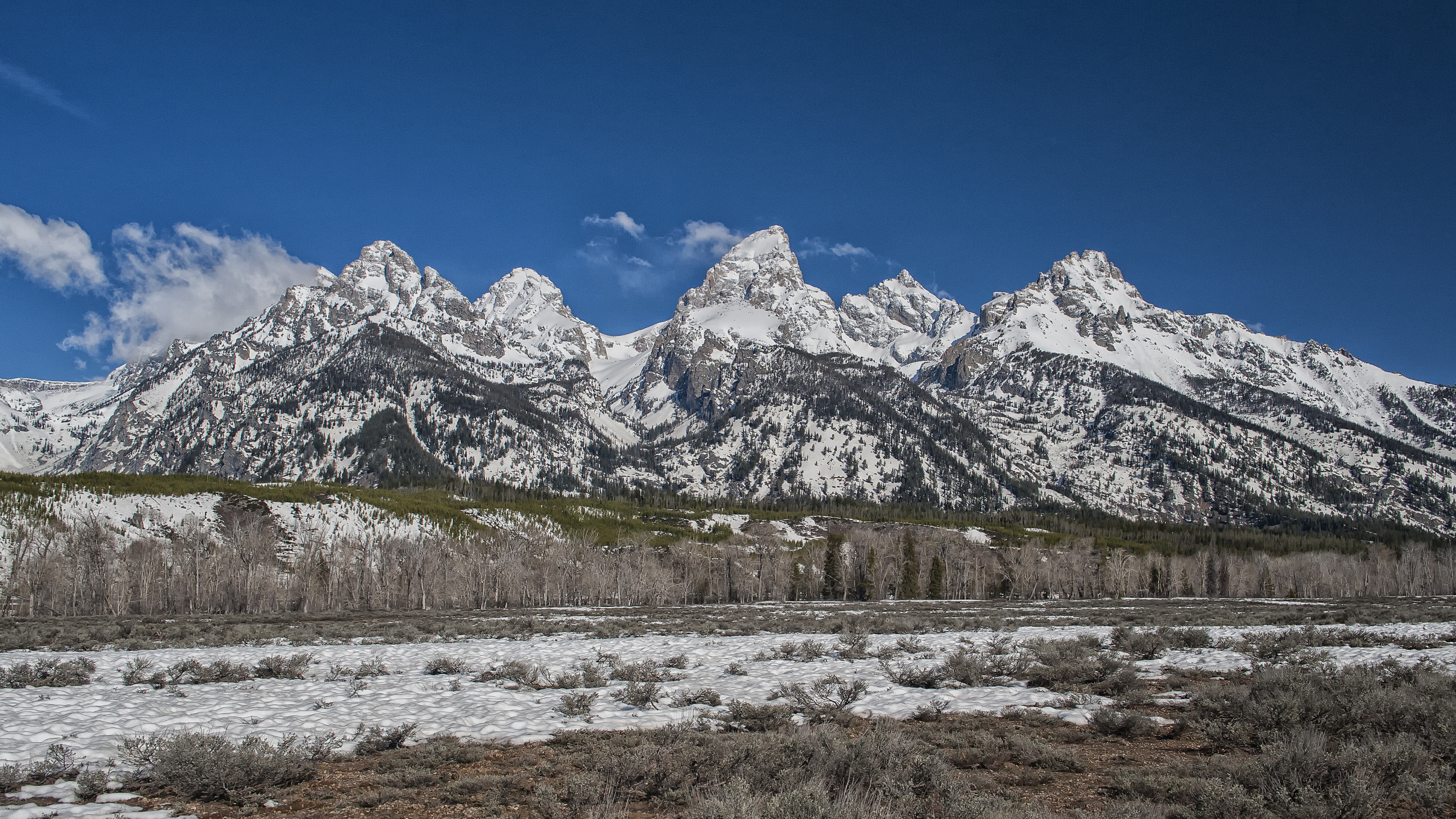 Grand Tetons