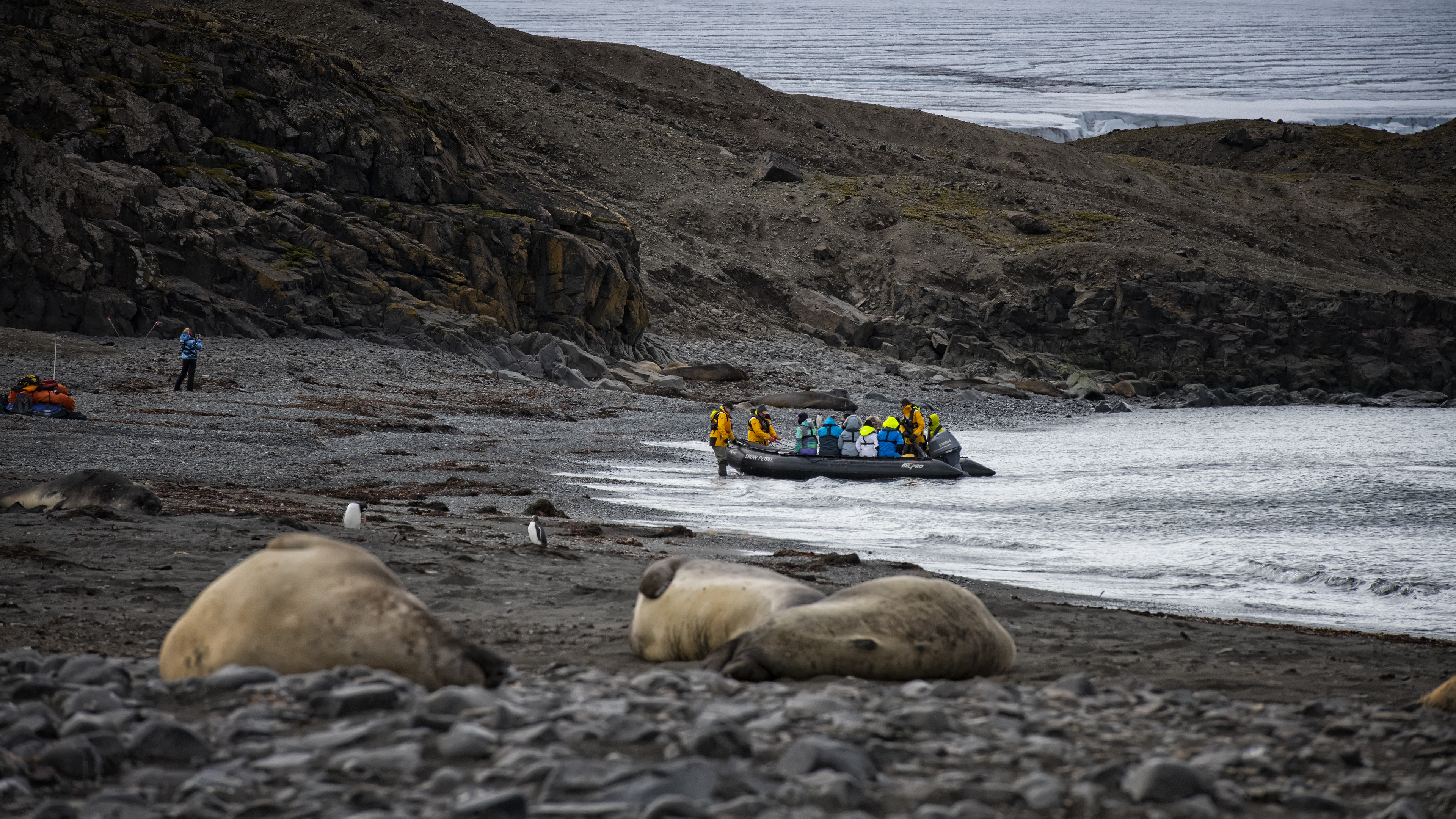 Coming Ashore at Elephant Point