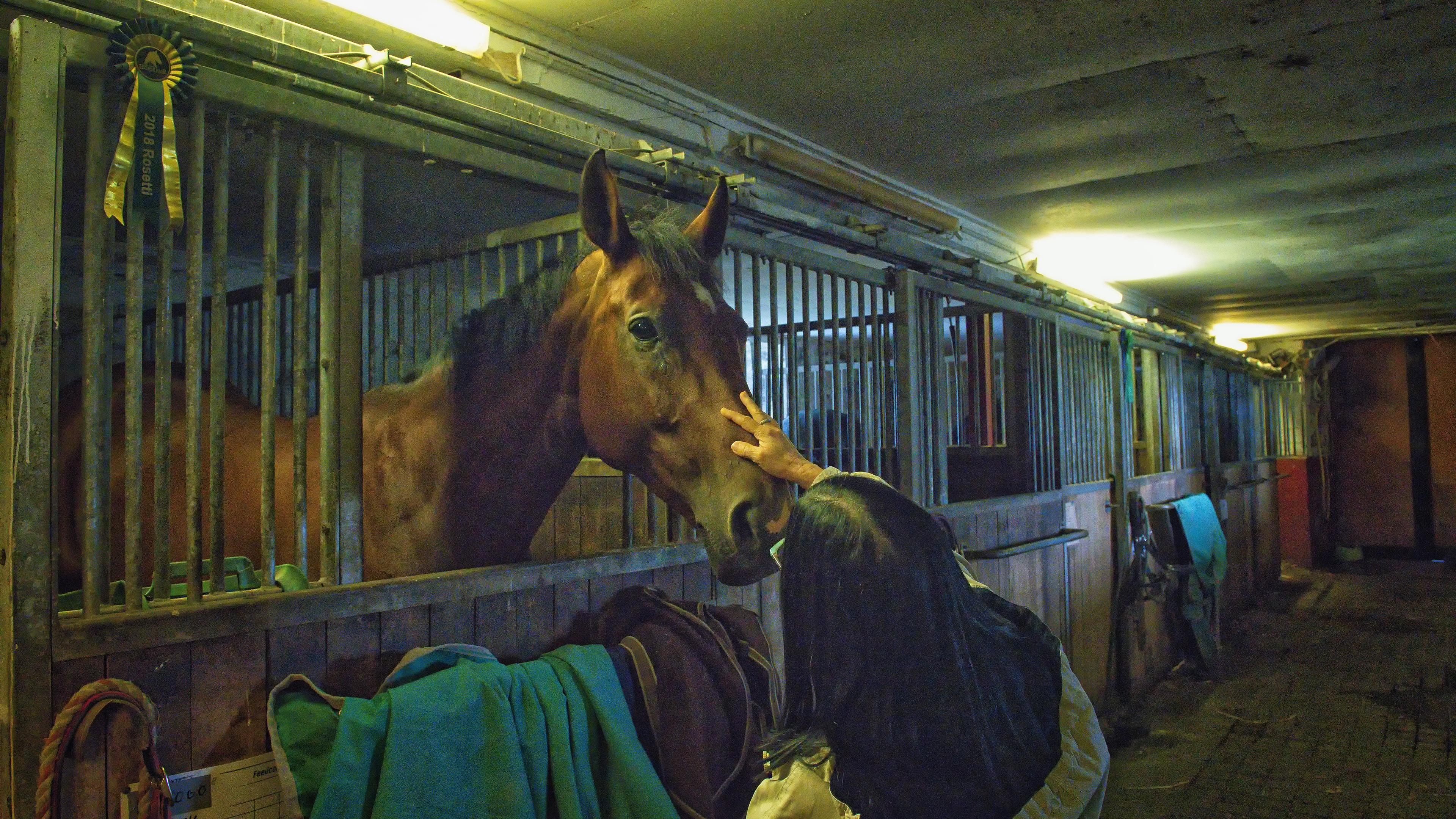 Horse Farm