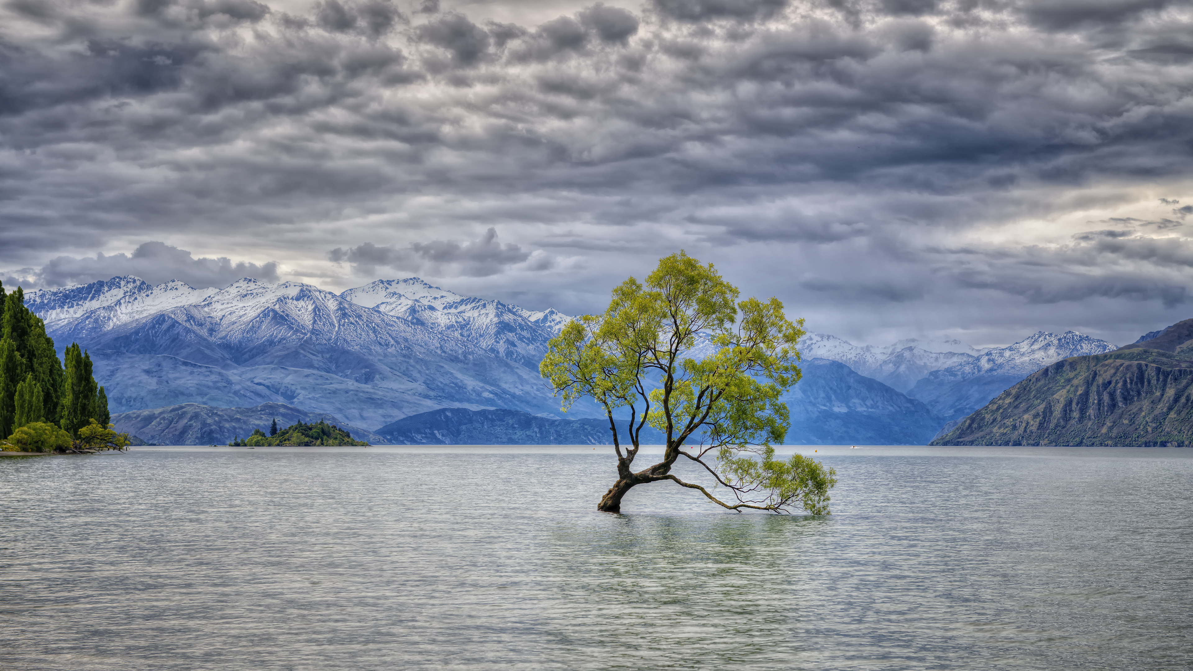 Lone Tree of Lake Wanaka