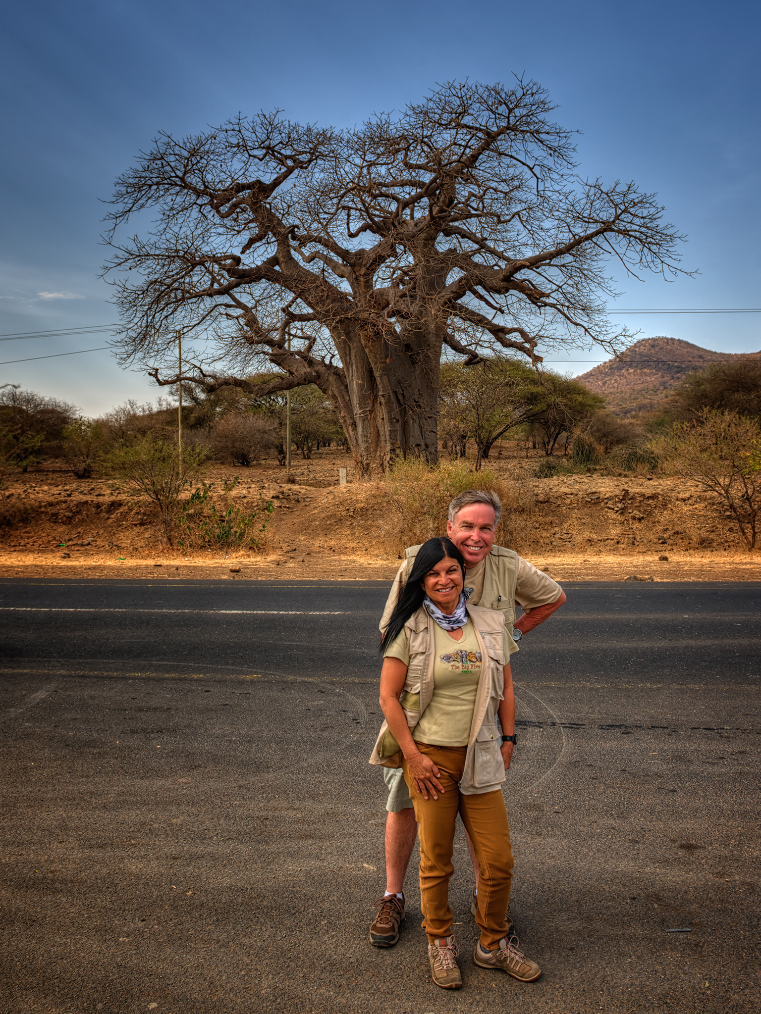 Baobab Tree