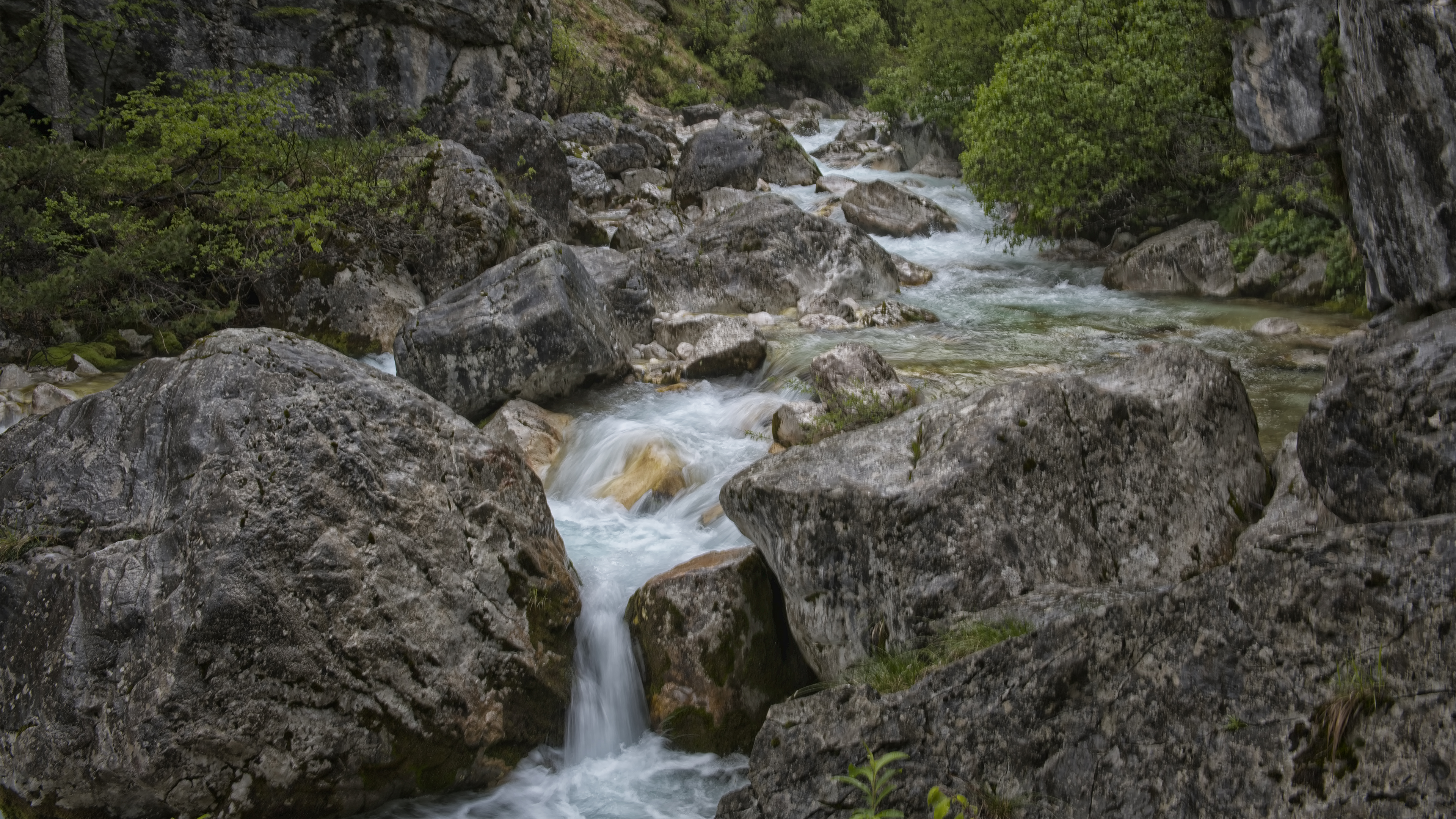 Stream in Špik, Slovenia