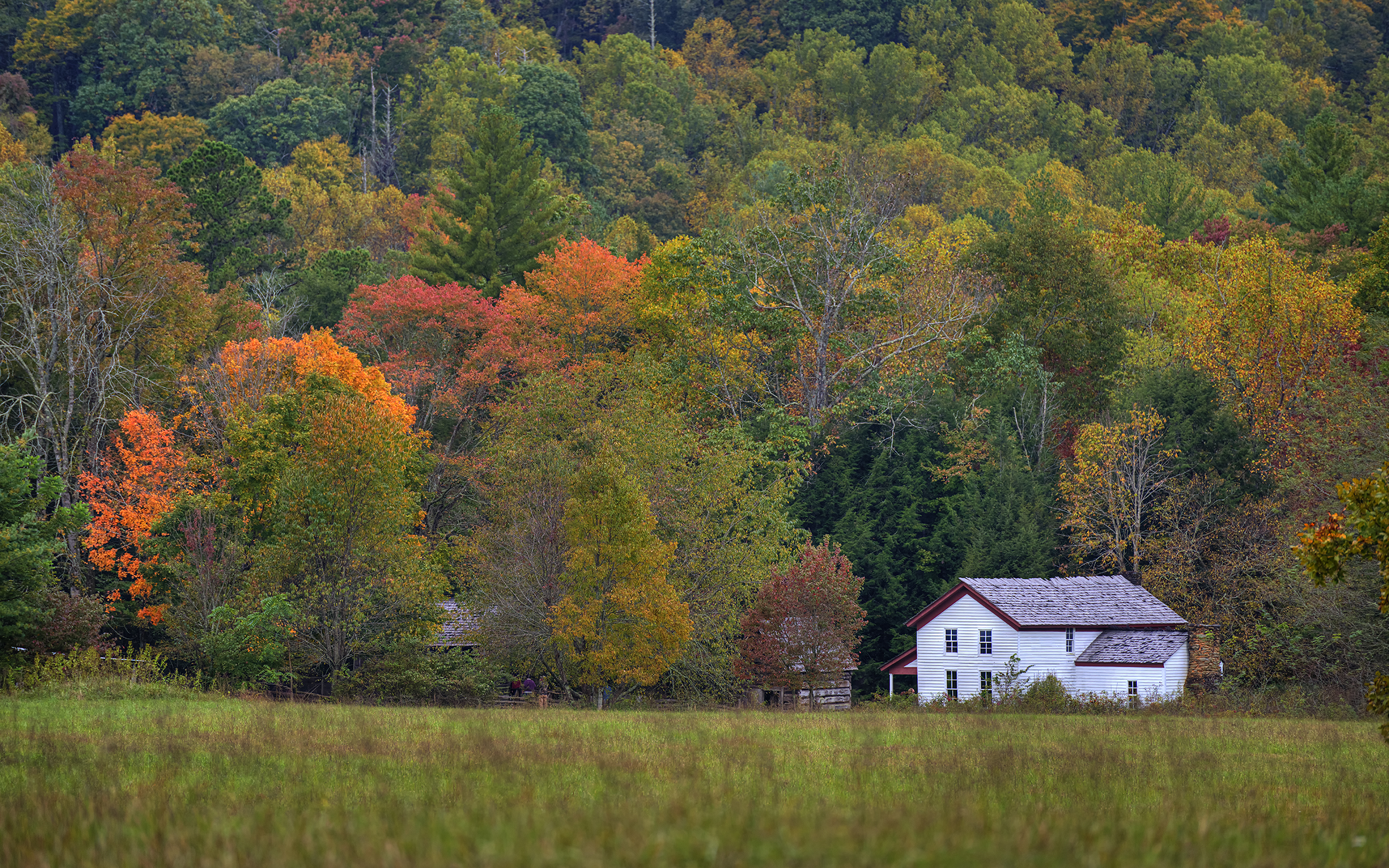 House in the Great Smoky Mountains