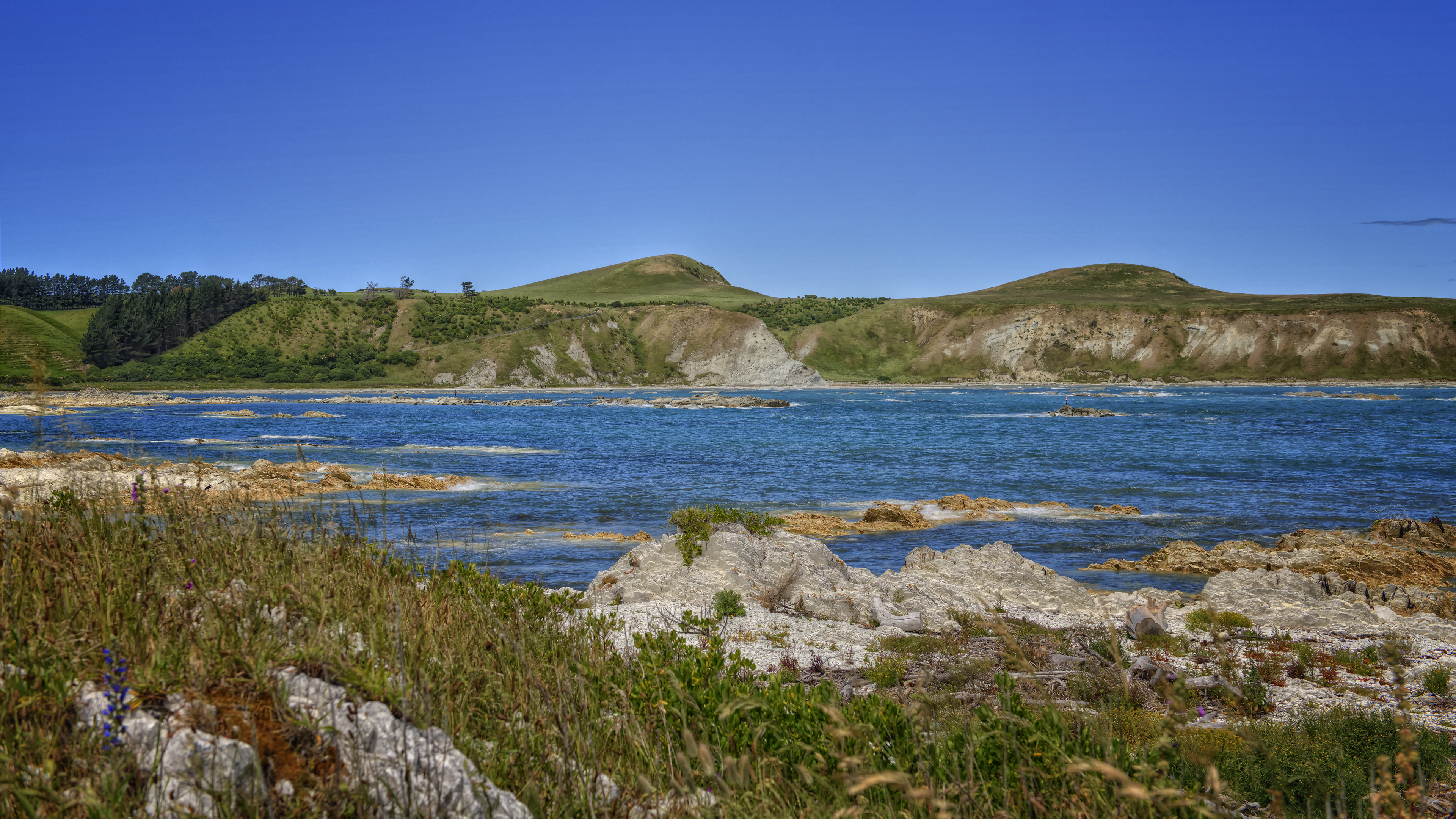Beach in Kaikoura