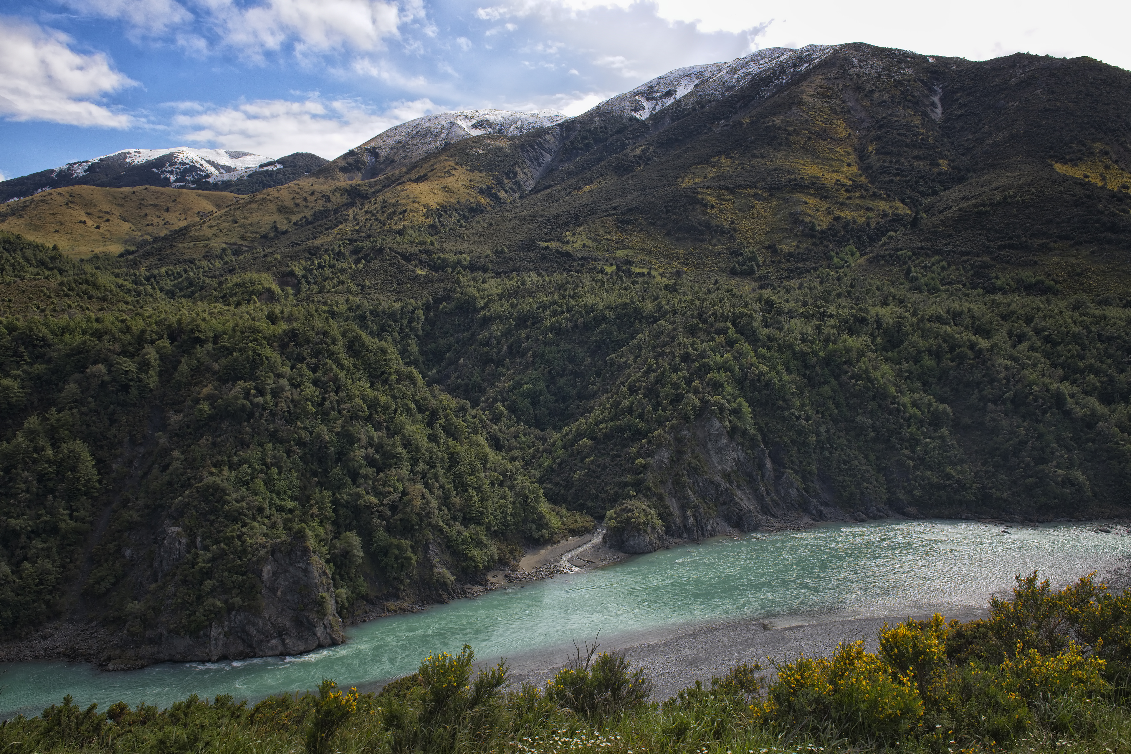 TranzAlpine train journey