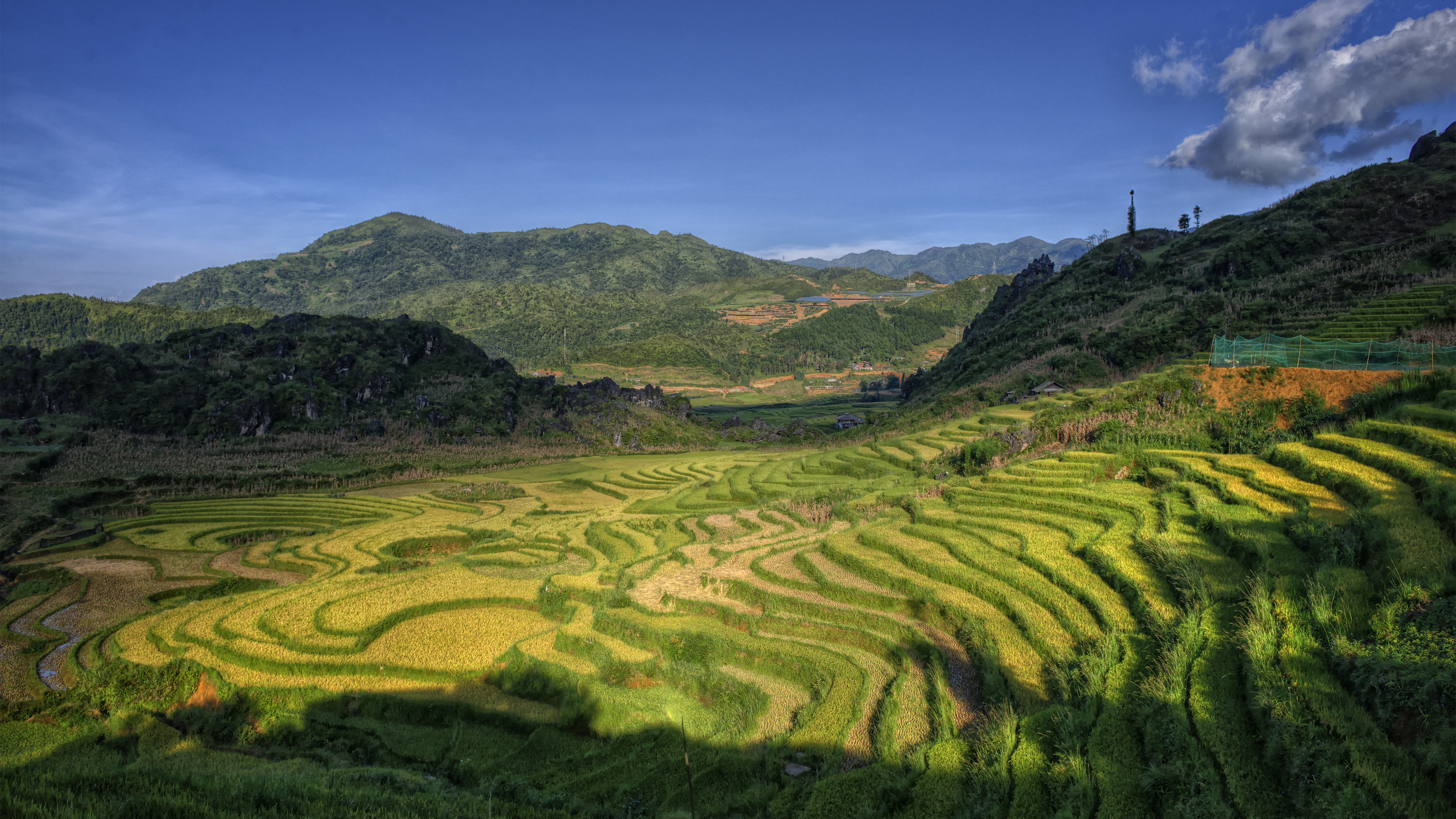 Lao Cai Rice Terraces