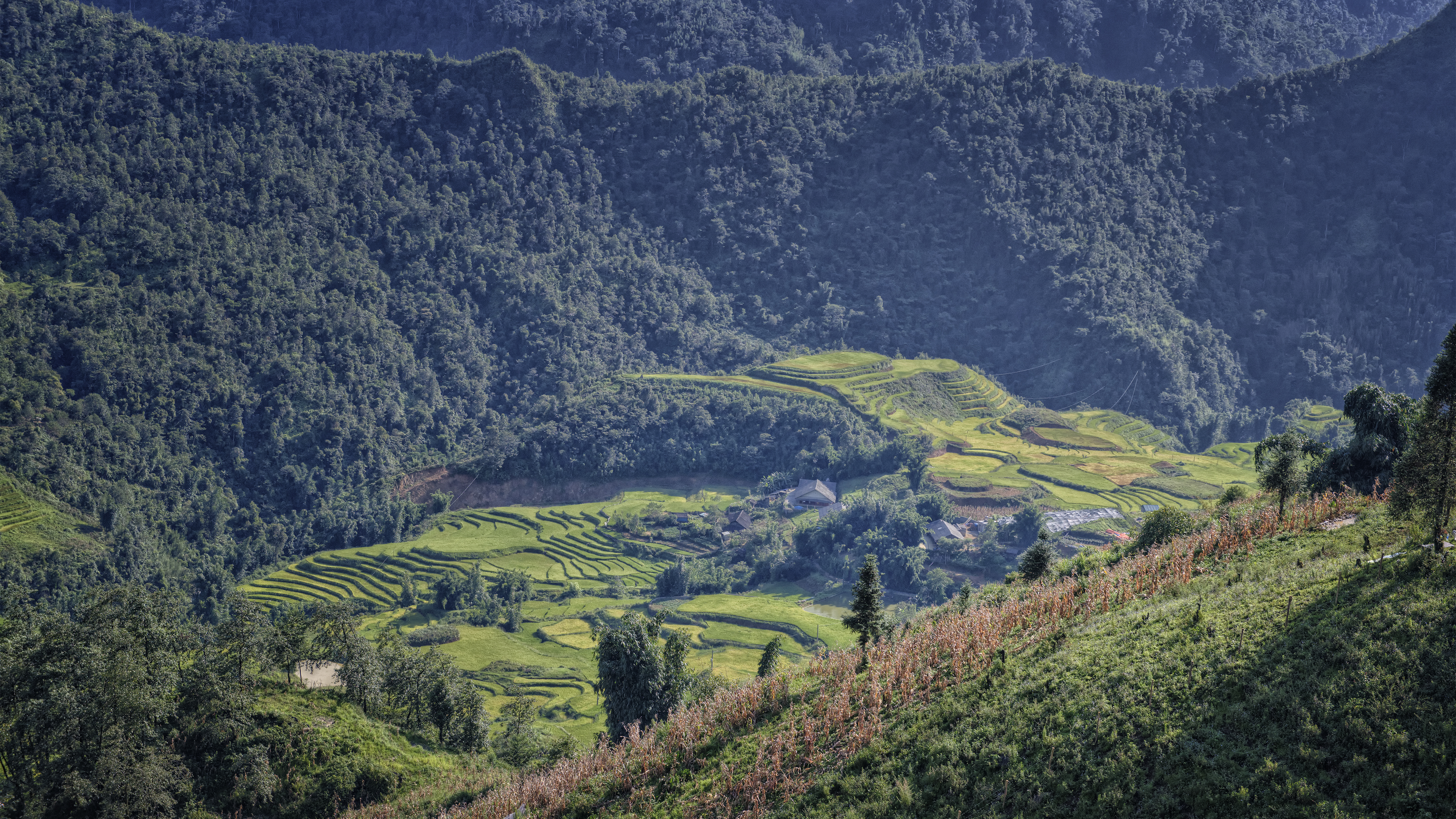 Sapa Rice Terraces