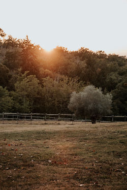 mariage au domaine de la Fauconnie en Dordogne-124