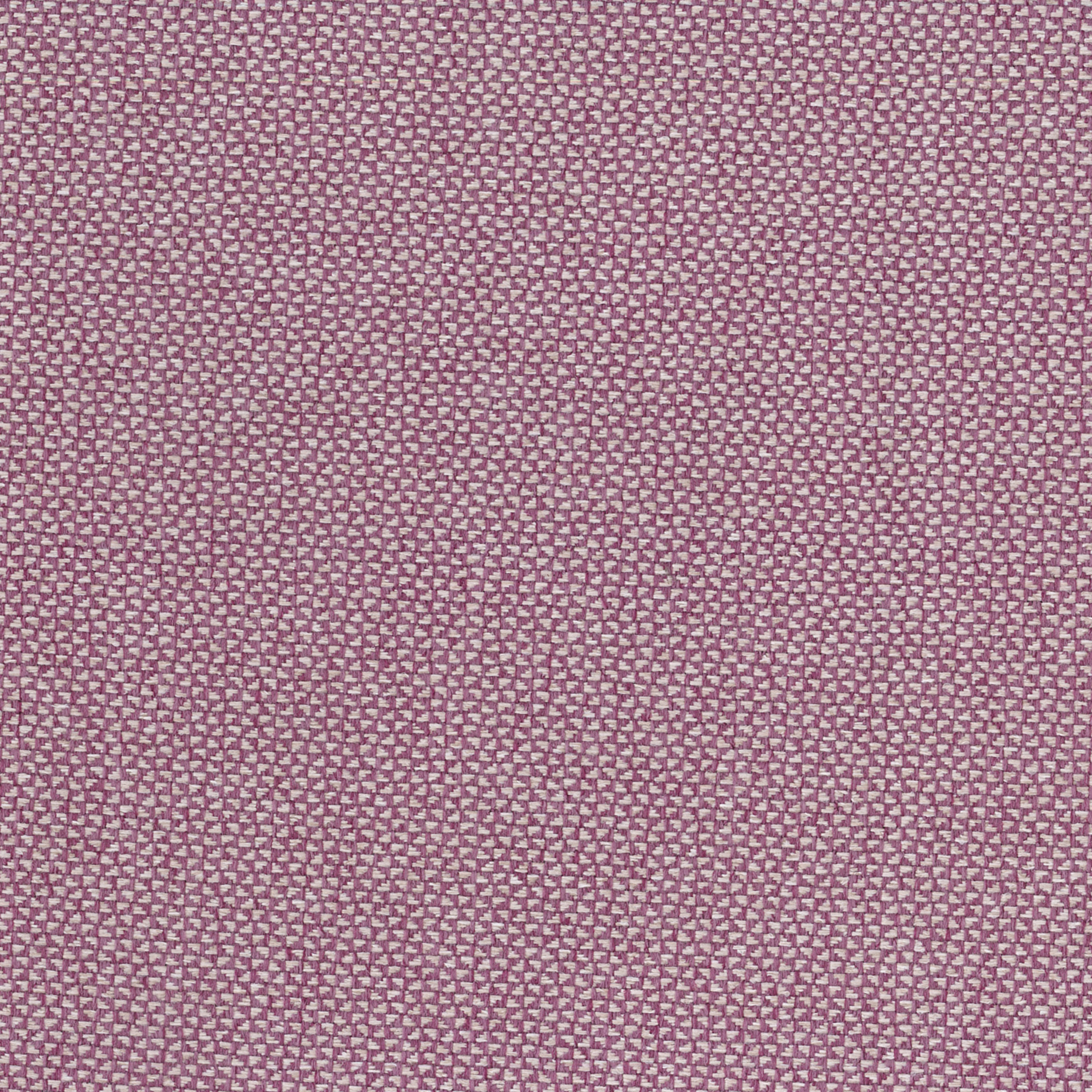 Warwick Brooklyn Aubergine