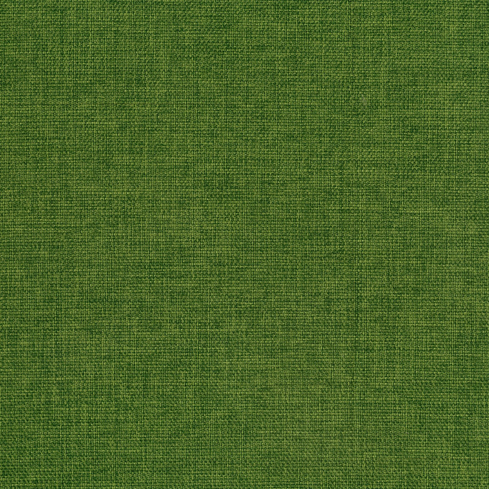 Warwick Beachcomber Fern