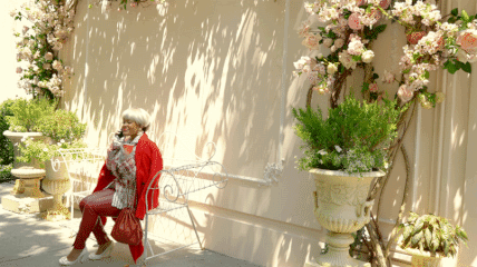 GIFS Tzippi - 2.gif