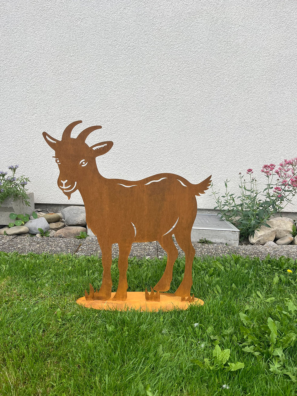 Miniaturbild: Ziege mit Gesicht