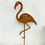 Miniaturbild: Flamingo