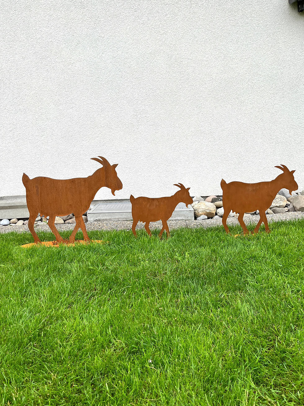 Miniaturbild: Ziege mittelgross  56 cm