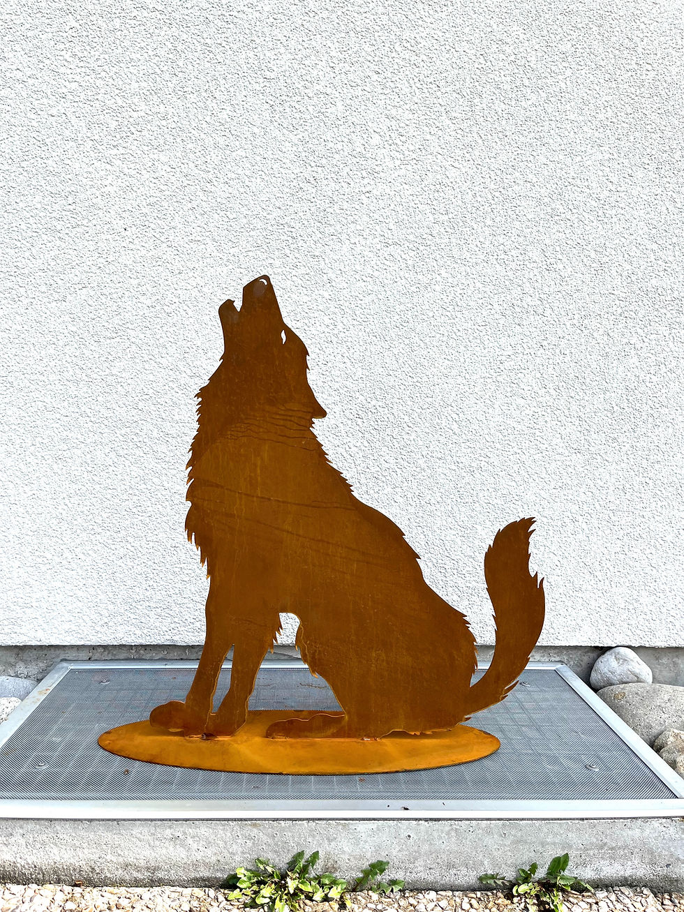 Miniaturbild: Wolf sitzend