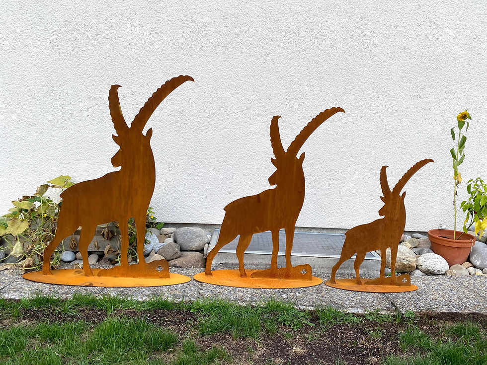 Miniaturbild: Steinbock seitlich klein 73cm