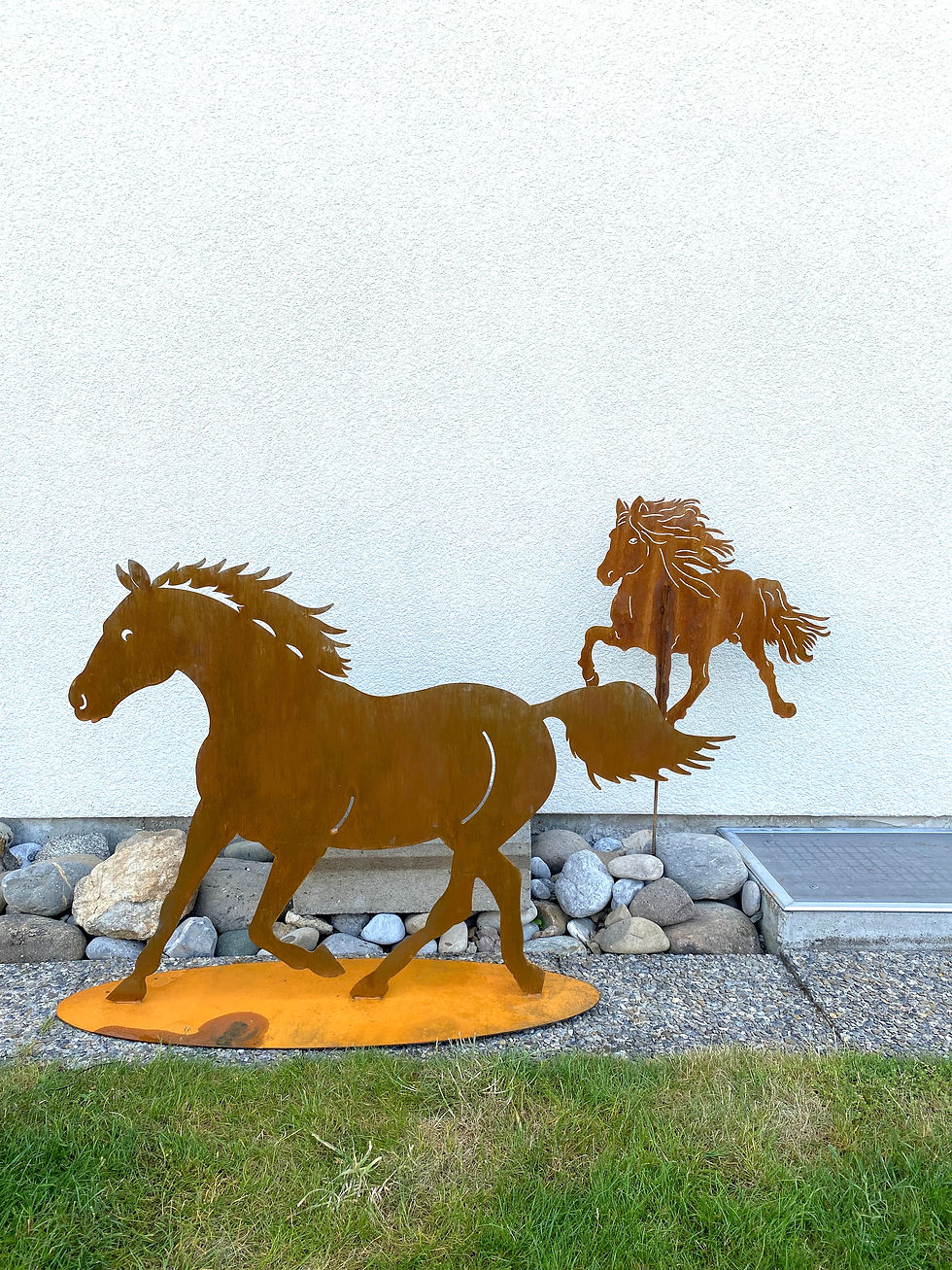 Miniaturbild: Pferd Schimmel gross