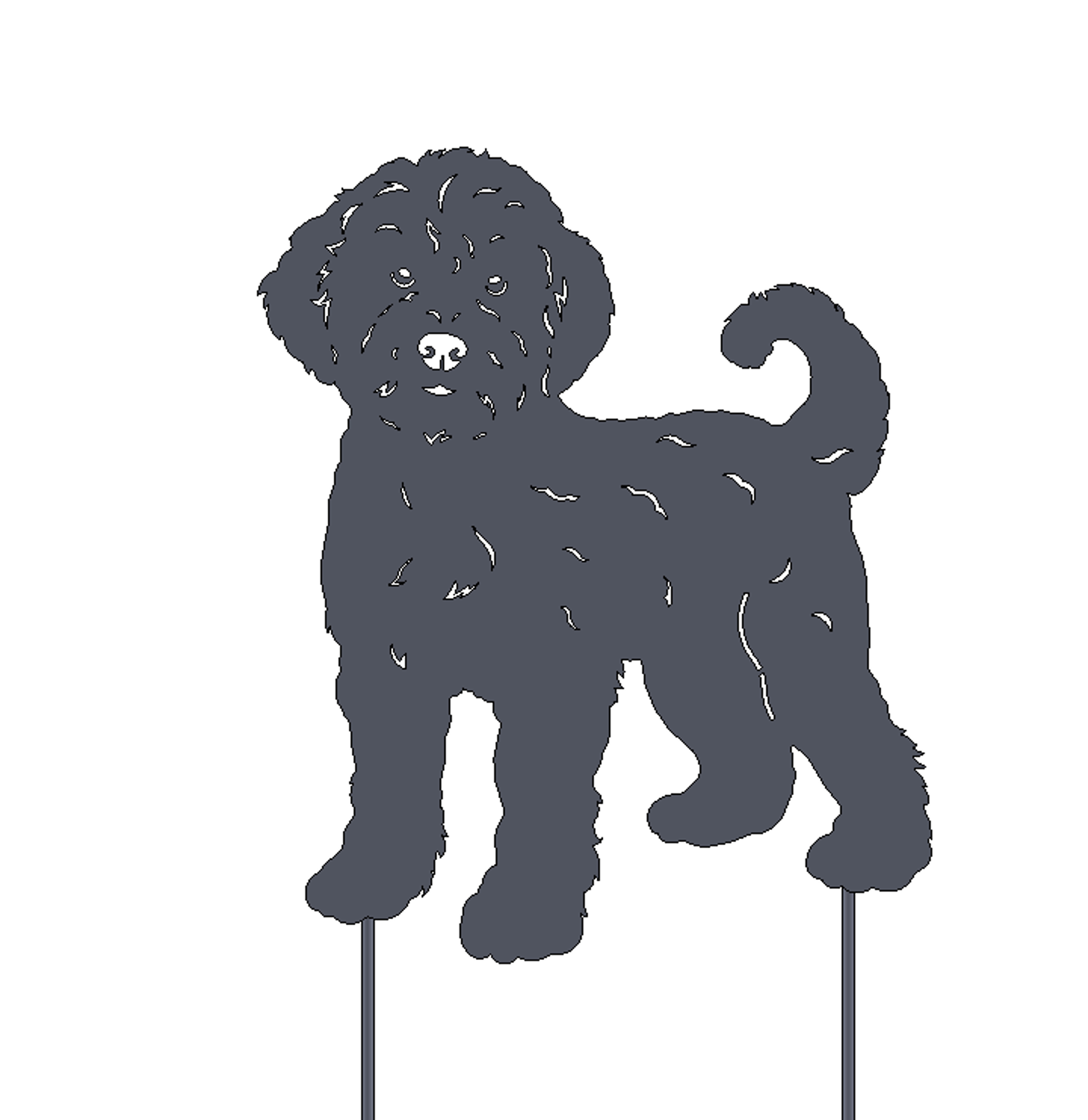 Lagotto Hund