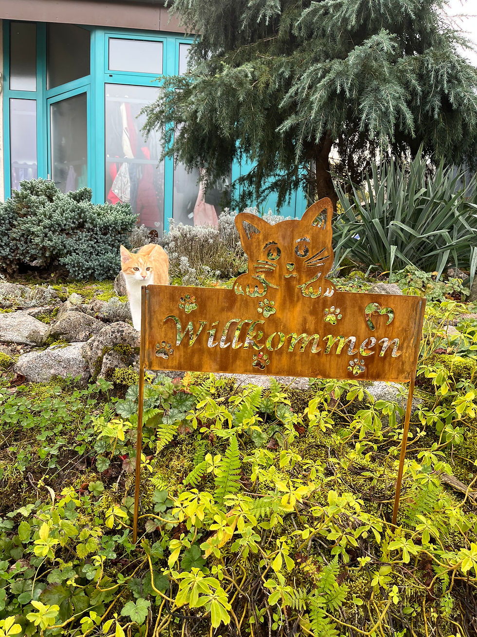 Miniaturbild: Willkommenssschild mit Katze