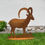 Miniaturbild: Steinbock Seitenansicht 114cm