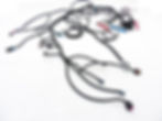 '97 - '04 LS1 W/ 4L60E/4L80E STANDALONE WIRING HARNESS (DBW)