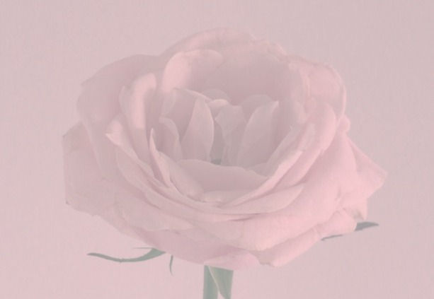 Virgo New Moon Ceremony