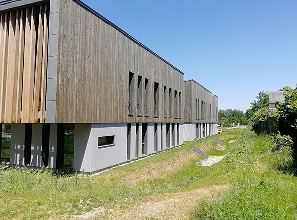 Lycée Bellevue noue filtrante.jpg