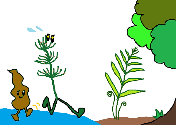 wakame.png