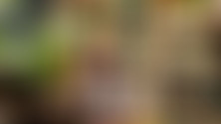 The importance of Employabilty from a Black Female HR Director