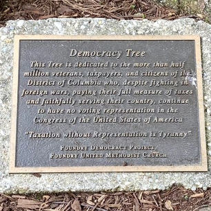 Funkstown – A Democracy Tree Grows in the West End