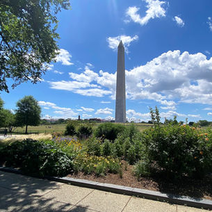 Funkstown Plus - German-American Friendship Garden