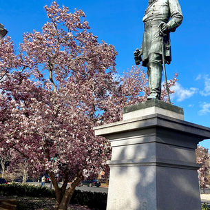 Funkstown – The Magnolias of Foggy Bottom’s Rawlins Park