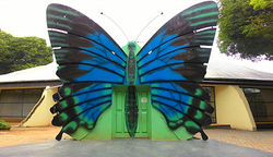 Butterfly Park